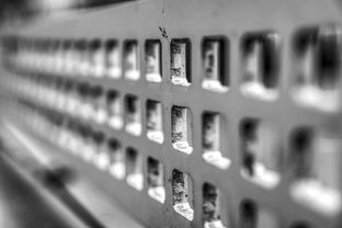 乐鱼体育在线下载-高校运动训练科学管理模式创新实践,运动训练科研管理工作要求