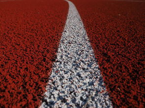 乐鱼体育app官方入口-田径项目专项训练成效显著，田径专项体能训练